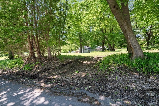 719 Seward St, Fulton, NY 13069 - photo 5