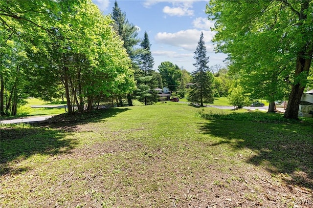 719 Seward St, Fulton, NY 13069 - photo 6