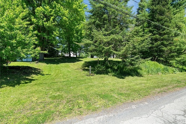 719 Seward St, Fulton, NY 13069 - photo 4