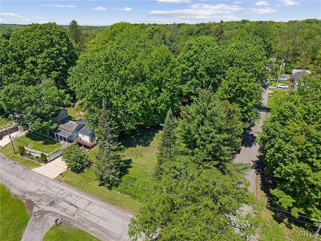719 Seward St, Fulton, NY 13069 - photo 11