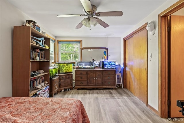 79 Windermere Blvd, Amherst, NY 14226 - bedroom with light wood finished floors, ceiling fan, and a closet