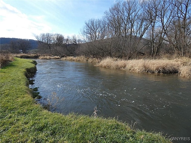Cooney Rd, Franklinville, NY 14737 - photo 1