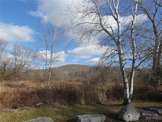 Cooney Rd, Franklinville, NY 14737 - photo 2