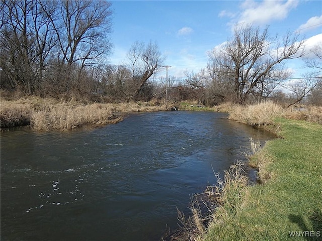Cooney Rd, Franklinville, NY 14737 - photo 3