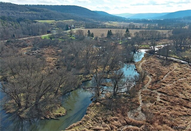 Cooney Rd, Franklinville, NY 14737 - photo 5
