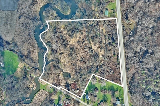 Cooney Rd, Franklinville, NY 14737 - photo 6