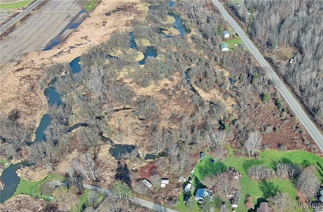 Cooney Rd, Franklinville, NY 14737 - photo 7