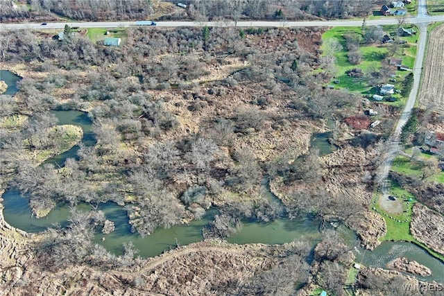 Cooney Rd, Franklinville, NY 14737 - photo 8