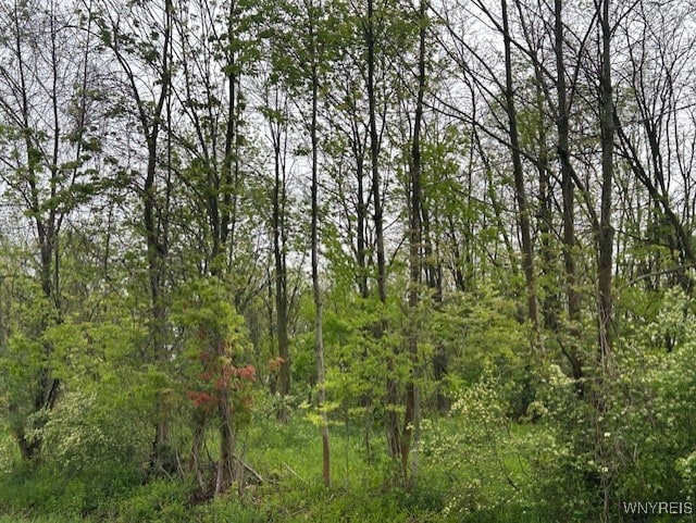 0 Sierk Rd, Bennington, NY 14011