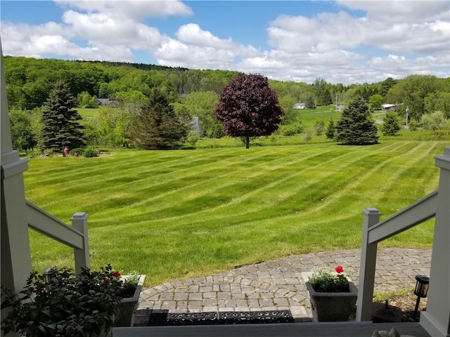 7404 Bonney Hill Rd, Hamilton, NY 13346 - view of green lawn featuring a wooded view