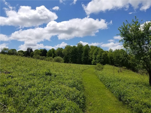 7404 Bonney Hill Rd, Hamilton, NY 13346 - view of nature featuring rural landscape