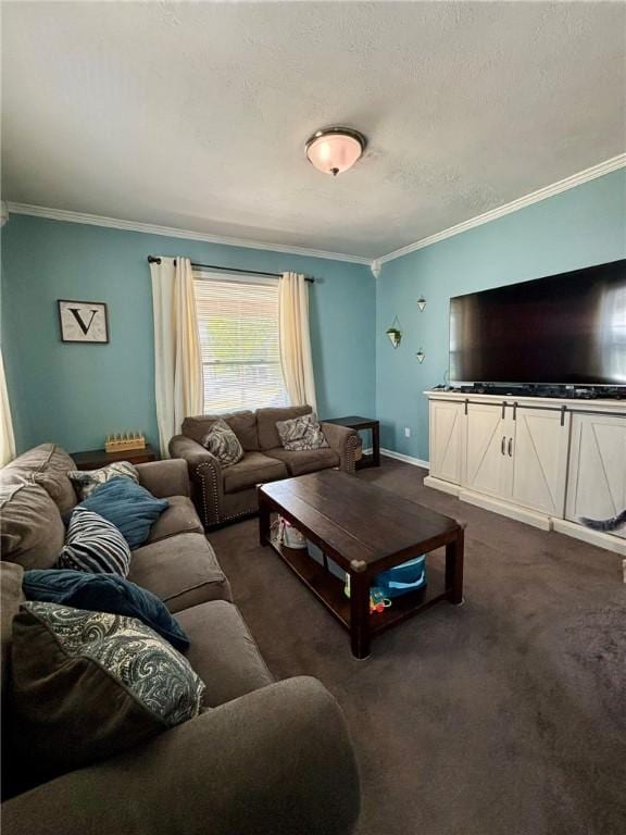 145 Decatur St, Corning-City, NY 14830 - living room with ornamental molding, dark carpet, a textured ceiling, and baseboards