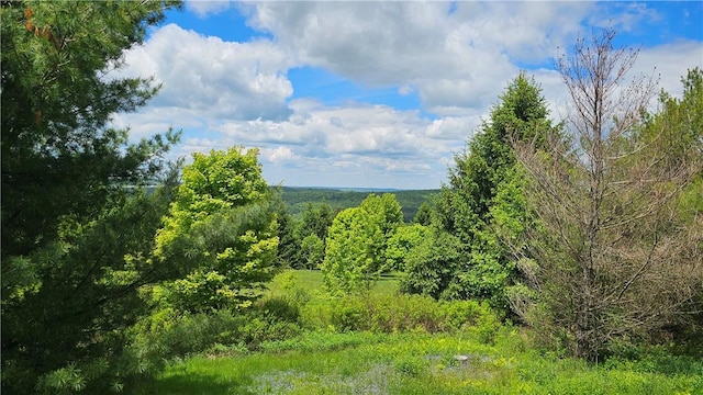 746 Gospel Hill Rd, Guilford, NY 13780 - view of local wilderness
