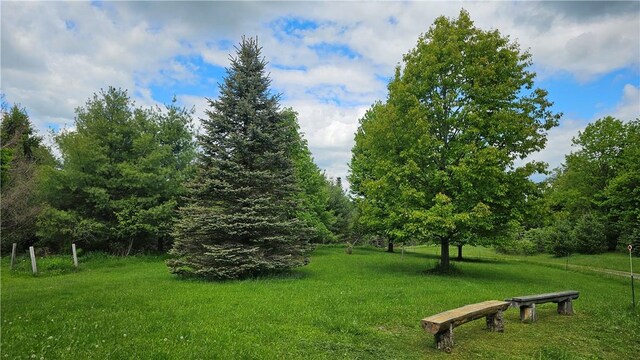 746 Gospel Hill Rd, Guilford, NY 13780 - view of community with a yard