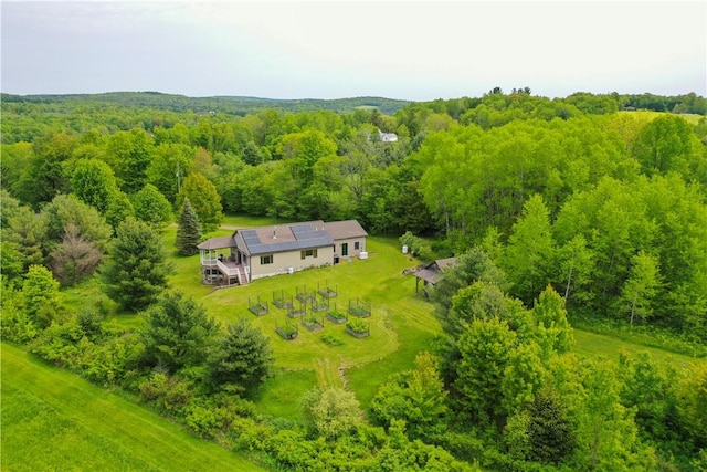 746 Gospel Hill Rd, Guilford, NY 13780 - aerial view of property and surrounding area with a heavily wooded area