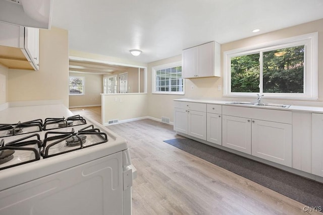 109 Wilkie Pl, Syracuse, NY 13203 - kitchen with a sink, light wood-style floors, white gas stove, extractor fan, and light countertops