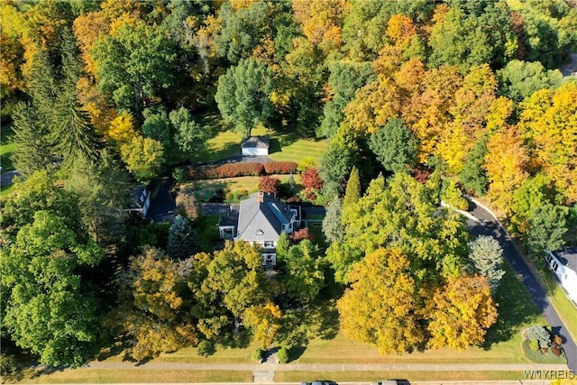 80 Lake St, Urbana, NY 14840 - view of property location featuring a heavily wooded area