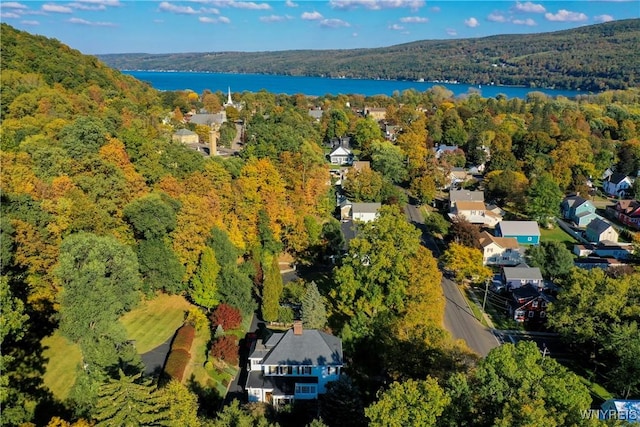 80 Lake St, Urbana, NY 14840 - view of property location featuring a forest and a nearby body of water