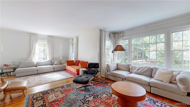 80 Lake St, Urbana, NY 14840 - living room featuring wood finished floors