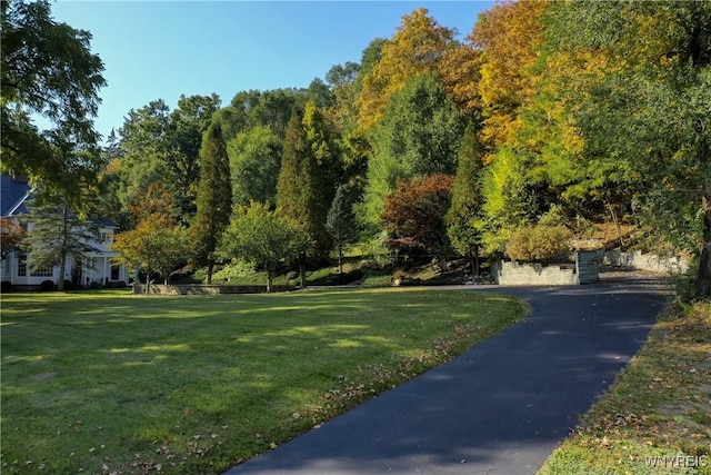 80 Lake St, Urbana, NY 14840 - view of home's community with a yard