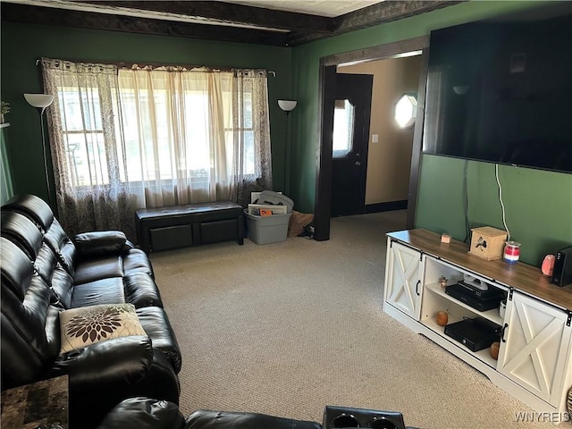 125 Spaulding St, Buffalo, NY 14220 - living room with carpet flooring