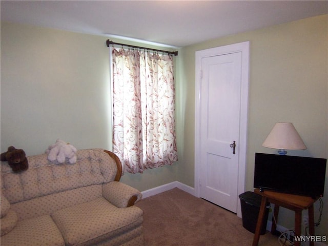 8330 Greiner Rd, Clarence, NY 14221 - sitting room featuring carpet floors and baseboards
