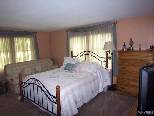 8330 Greiner Rd, Clarence, NY 14221 - view of carpeted bedroom