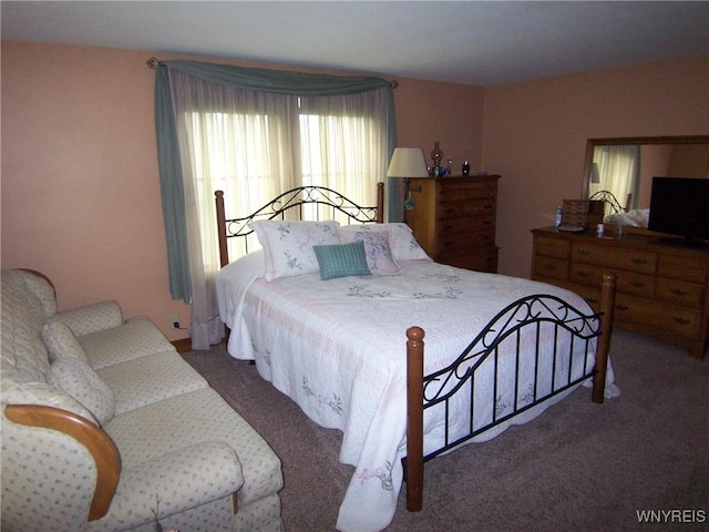 8330 Greiner Rd, Clarence, NY 14221 - view of carpeted bedroom
