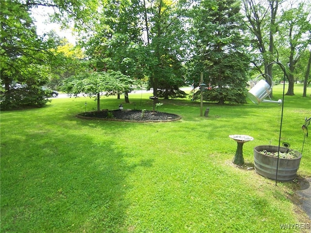 8330 Greiner Rd, Clarence, NY 14221 - view of grassy yard