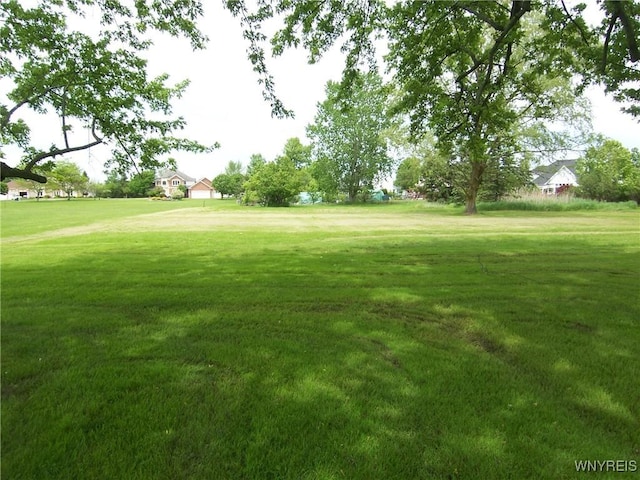 8330 Greiner Rd, Clarence, NY 14221 - view of green lawn