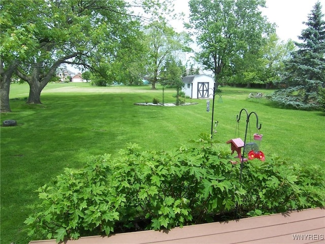 8330 Greiner Rd, Clarence, NY 14221 - view of green lawn