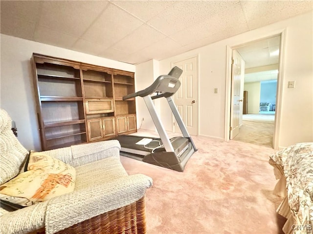 111 Spyglass Ln, Manlius, NY 13066 - exercise area featuring carpet floors