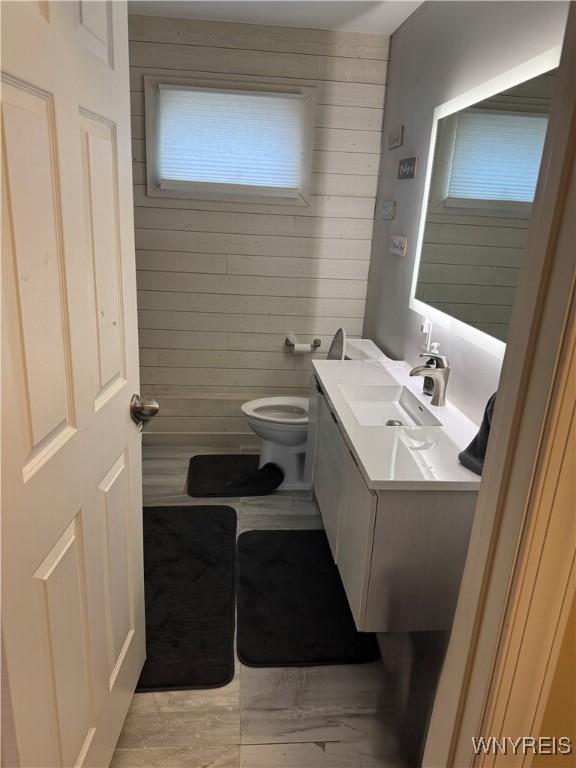 251 Minnesota Ave, Buffalo, NY 14215 - bathroom with vanity, wooden walls, toilet, and plenty of natural light