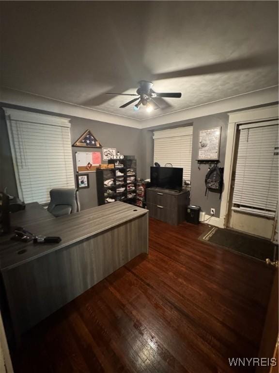251 Minnesota Ave, Buffalo, NY 14215 - office space featuring a ceiling fan, dark wood-style floors, and crown molding