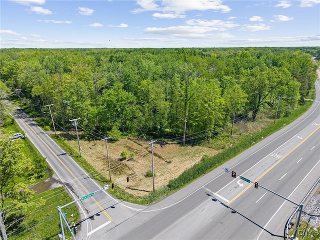 6859 Kirkville Rd, Dewitt, NY 13057