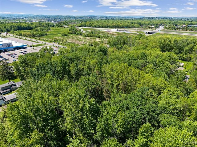 6859 Kirkville Rd, Dewitt, NY 13057
