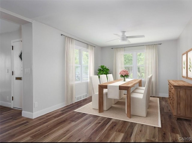 1120 Temple St, Watertown-City, NY 13601 - dining room featuring wood finished floors, plenty of natural light, and ceiling fan