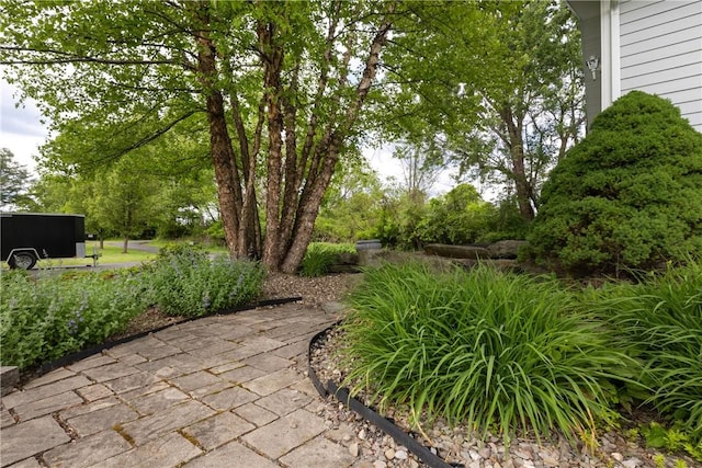 676 County Road 64, Big Flats, NY 14903 - view of yard