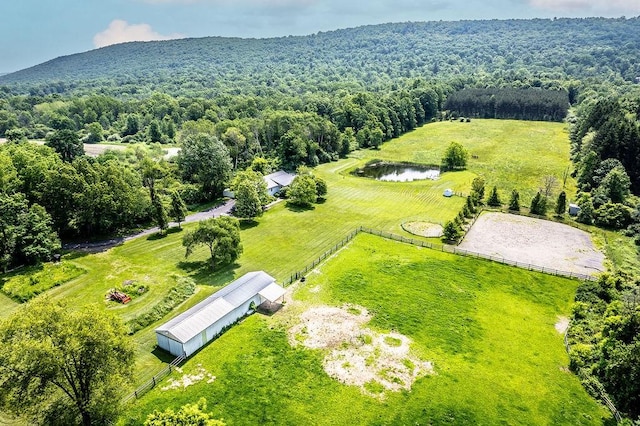 676 County Road 64, Big Flats, NY 14903 - drone / aerial view of a heavily wooded area and a large body of water