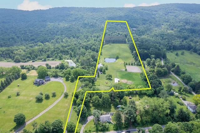 676 County Road 64, Big Flats, NY 14903 - view of property location featuring a forest and property parcel outlined