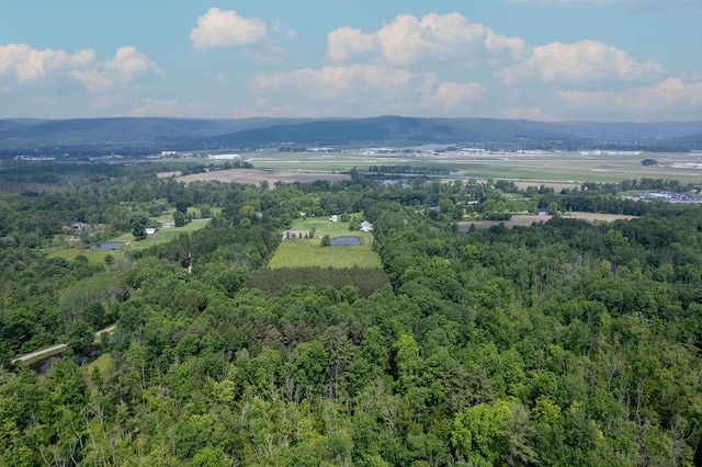 676 County Road 64, Big Flats, NY 14903 - bird's eye view of a heavily wooded area