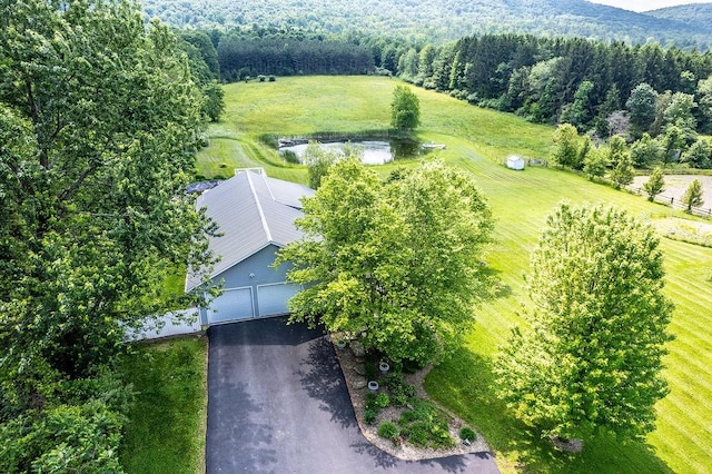676 County Road 64, Big Flats, NY 14903 - view of subject property featuring a heavily wooded area