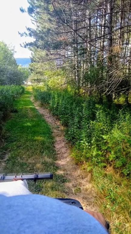 676 County Road 64, Big Flats, NY 14903 - view of yard