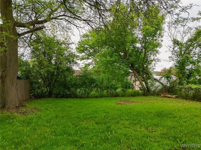 70 Minard St, Lockport-City, NY 14094 - view of yard