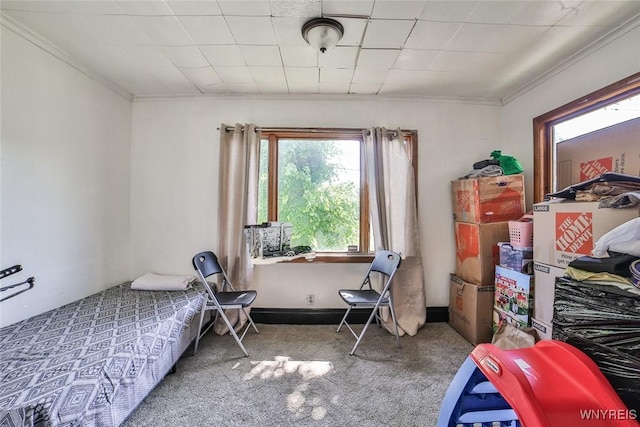 110 Saint Louis Ave, Buffalo, NY 14211 - bedroom with ornamental molding and carpet