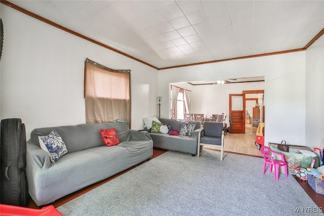 110 Saint Louis Ave, Buffalo, NY 14211 - living area with crown molding