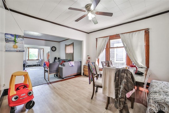110 Saint Louis Ave, Buffalo, NY 14211 - dining space with crown molding, wood finished floors, and a ceiling fan