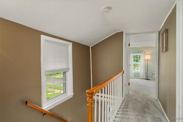 408 Elm St, Manlius, NY 13066 - hallway with lofted ceiling, an upstairs landing, carpet, and baseboards