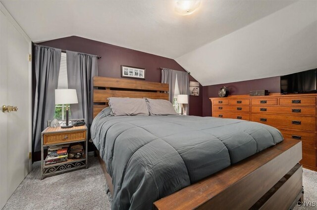 408 Elm St, Manlius, NY 13066 - bedroom with carpet flooring and lofted ceiling