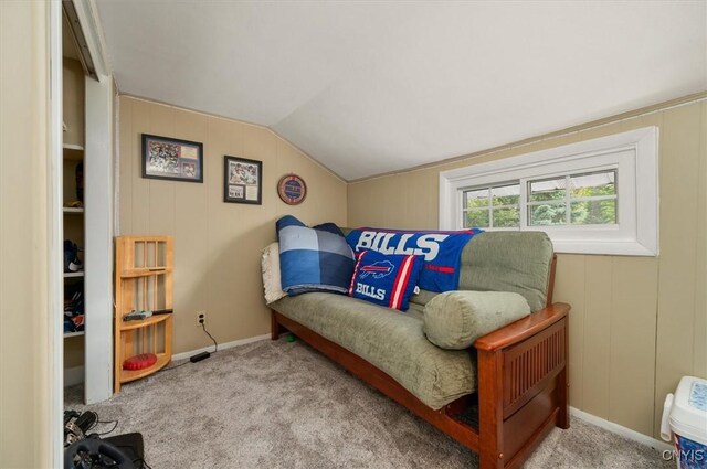 408 Elm St, Manlius, NY 13066 - living area featuring vaulted ceiling, carpet flooring, and baseboards